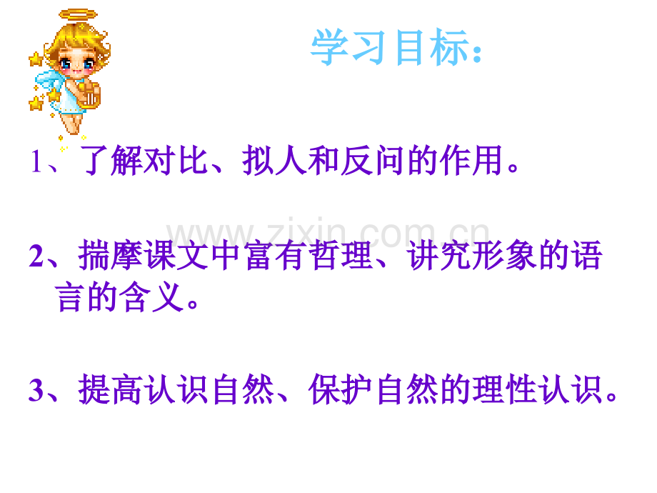 《敬畏自然》ppt课件(68页).ppt_第2页