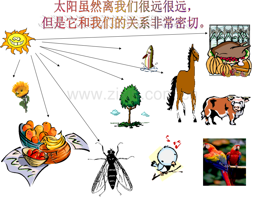 蔡燕—《我心中的太阳》PPT课件.ppt_第2页