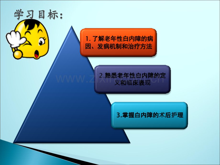 老年性白内障术后的护理ppt课件(1).pptx_第2页