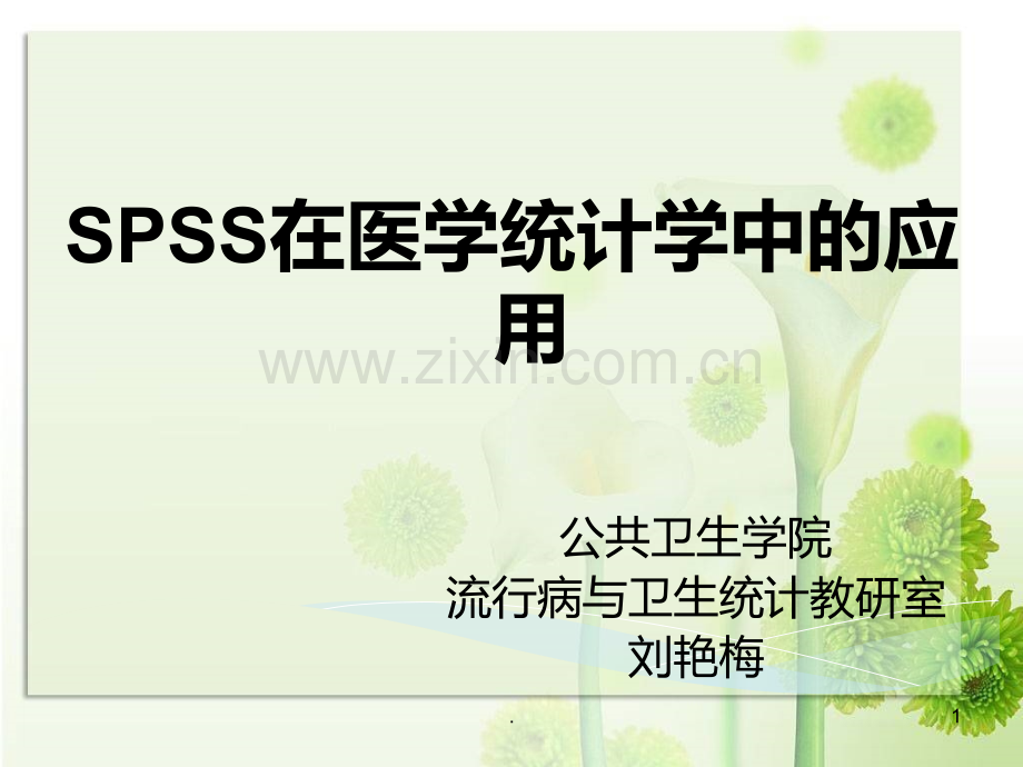 SPSS在医学统计学中的应用PPT课件.ppt_第1页