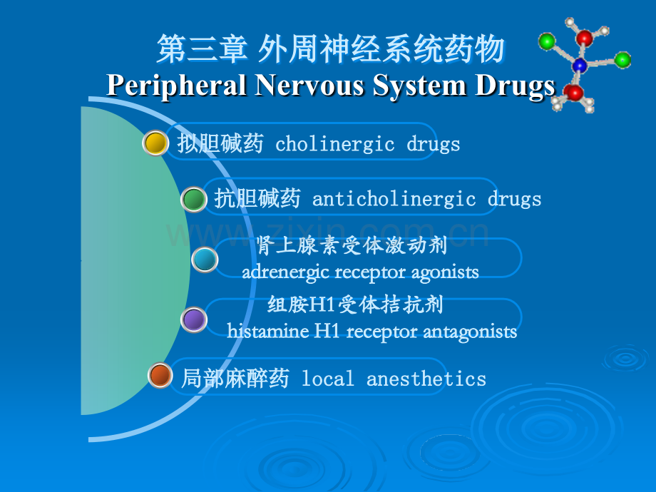 第三章-外周神经系统药物ppt课件.ppt_第3页