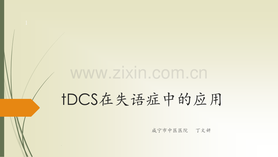 tDCS在失语症中的应用PPT课件.ppt_第1页