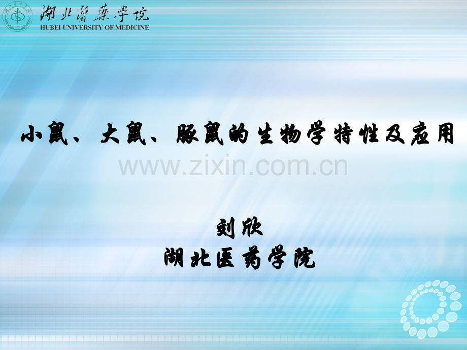 小鼠、大鼠、豚鼠的生物学特性及应用ppt课件.pptx_第1页