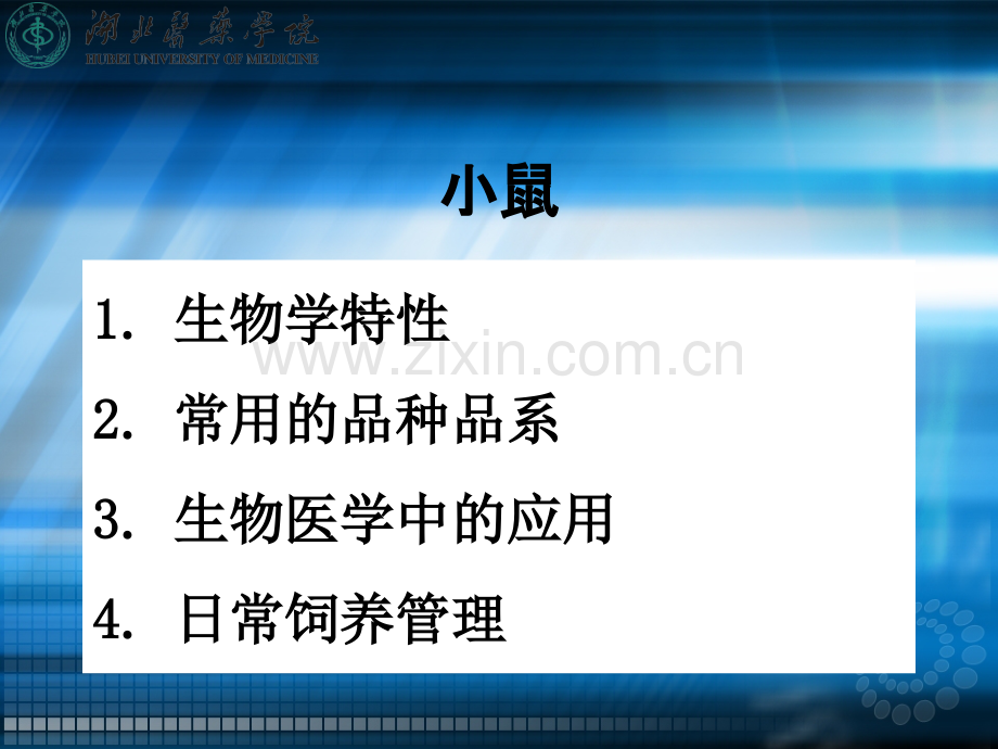 小鼠、大鼠、豚鼠的生物学特性及应用ppt课件.pptx_第2页