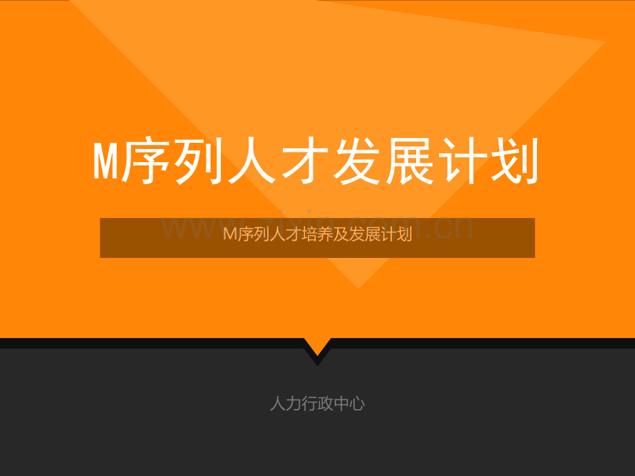 M序列人才发展计划.ppt_第1页