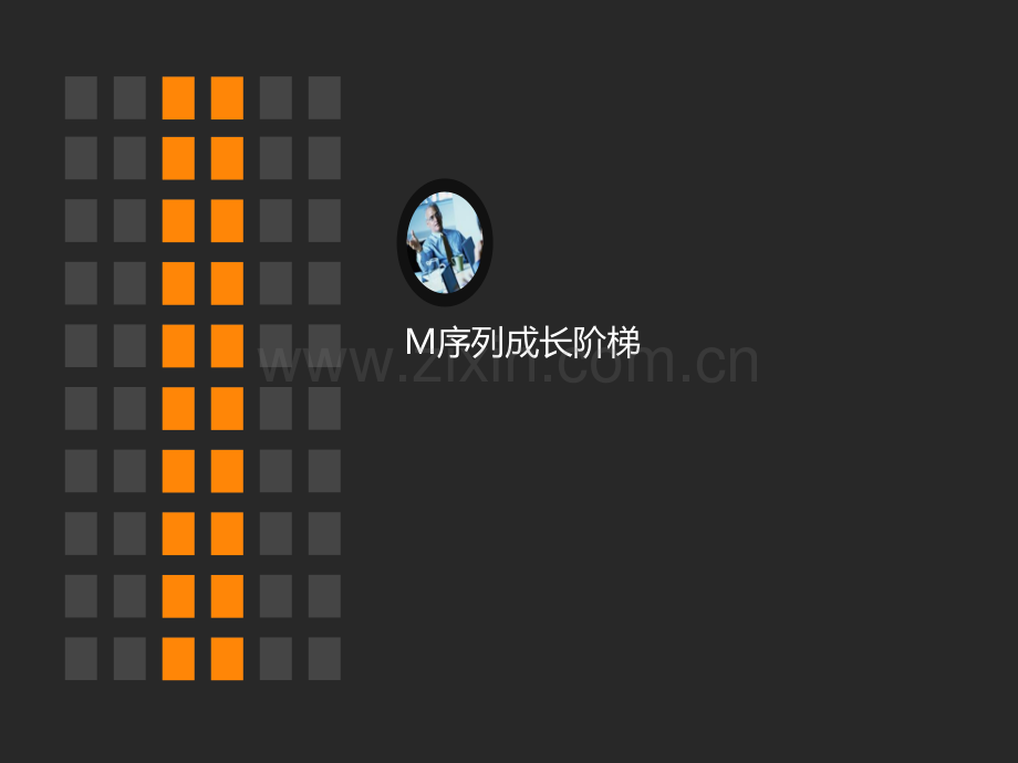 M序列人才发展计划.ppt_第3页