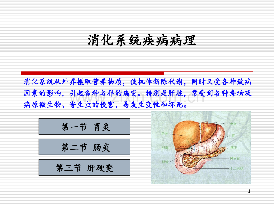 10-消化系统疾病病理PPT课件.ppt_第1页