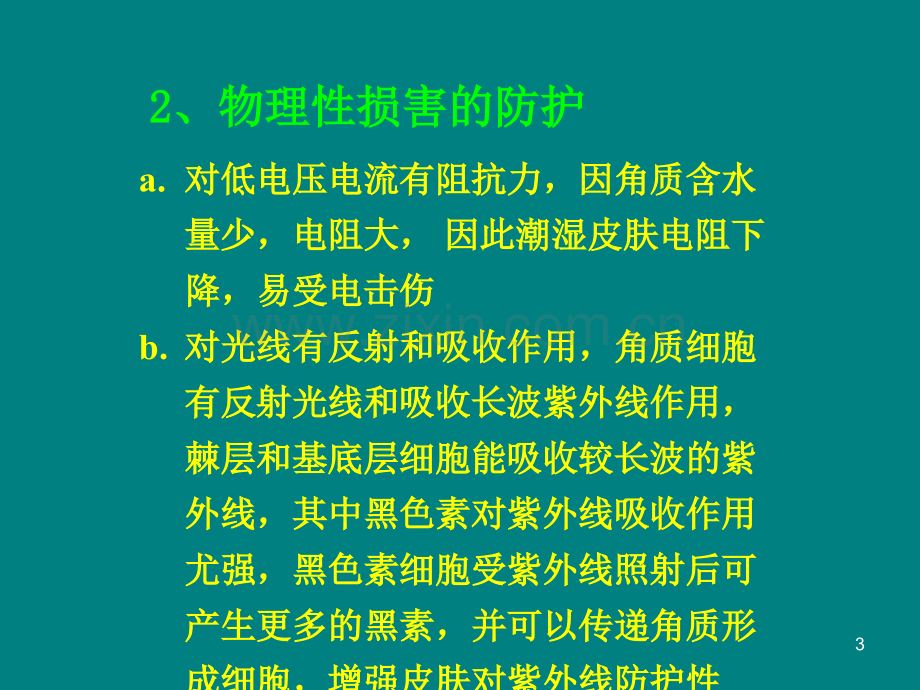 皮肤的功能ppt课件.pptx_第3页