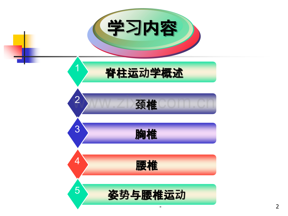 第二章-第三节--关节运动学(五、脊柱)颈椎PPT课件.ppt_第2页