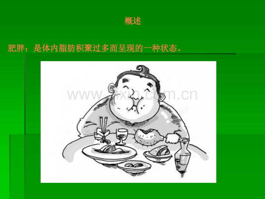 肥胖ppt课件.ppt_第2页