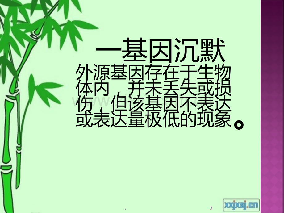 基因沉默PPT课件.pptx_第3页