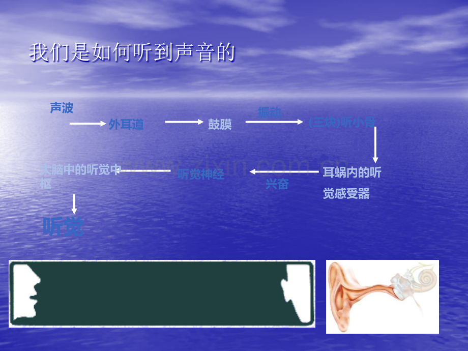 先天性耳聋--文姣姣.ppt_第3页