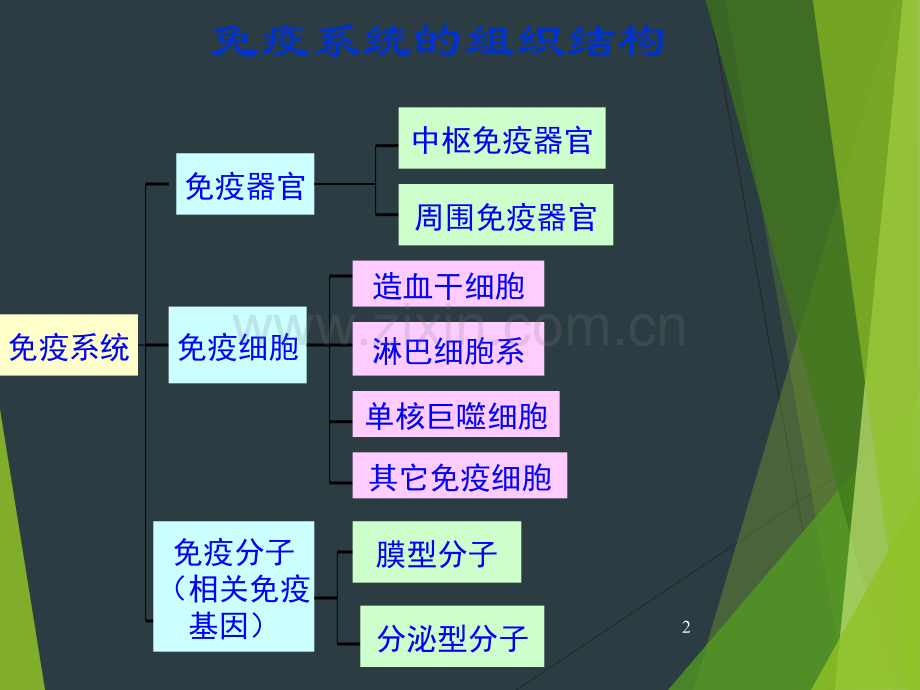 医学免疫学抗原讲义.ppt_第2页