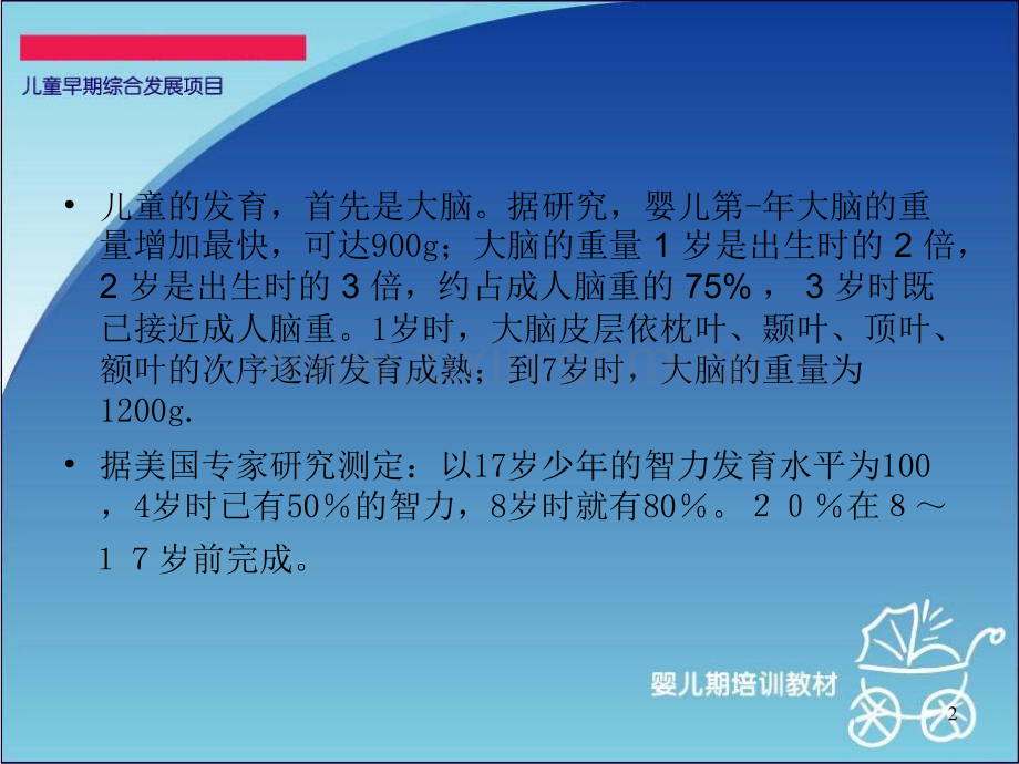 婴儿营养对神经系统的影响PPT课件.ppt_第2页