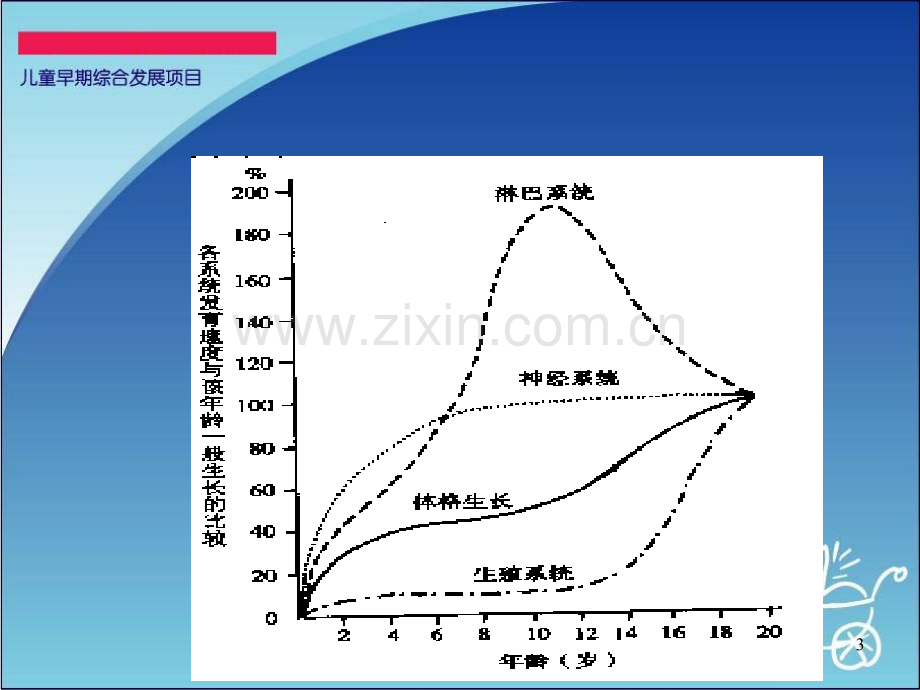 婴儿营养对神经系统的影响PPT课件.ppt_第3页