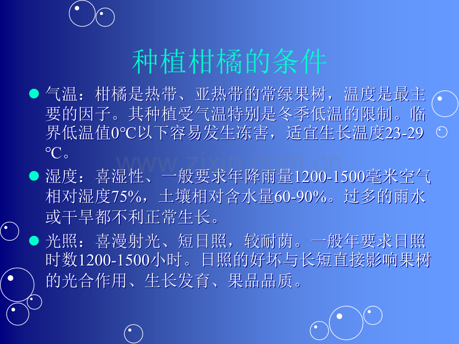 柑橘病虫害防治.ppt_第2页