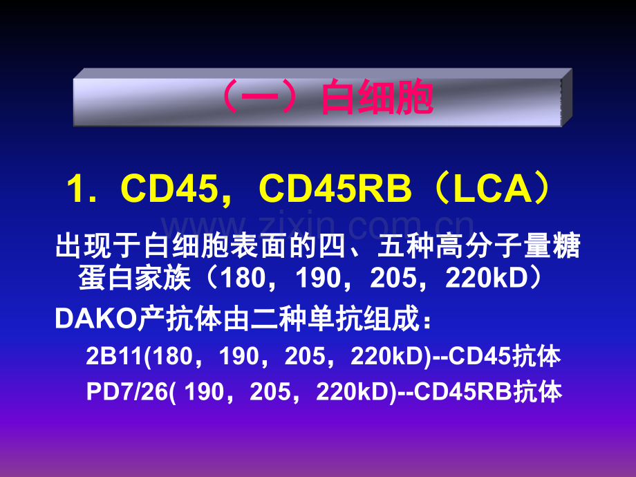 恶性淋巴瘤免疫组化讲课讲诉ppt课件.ppt_第3页