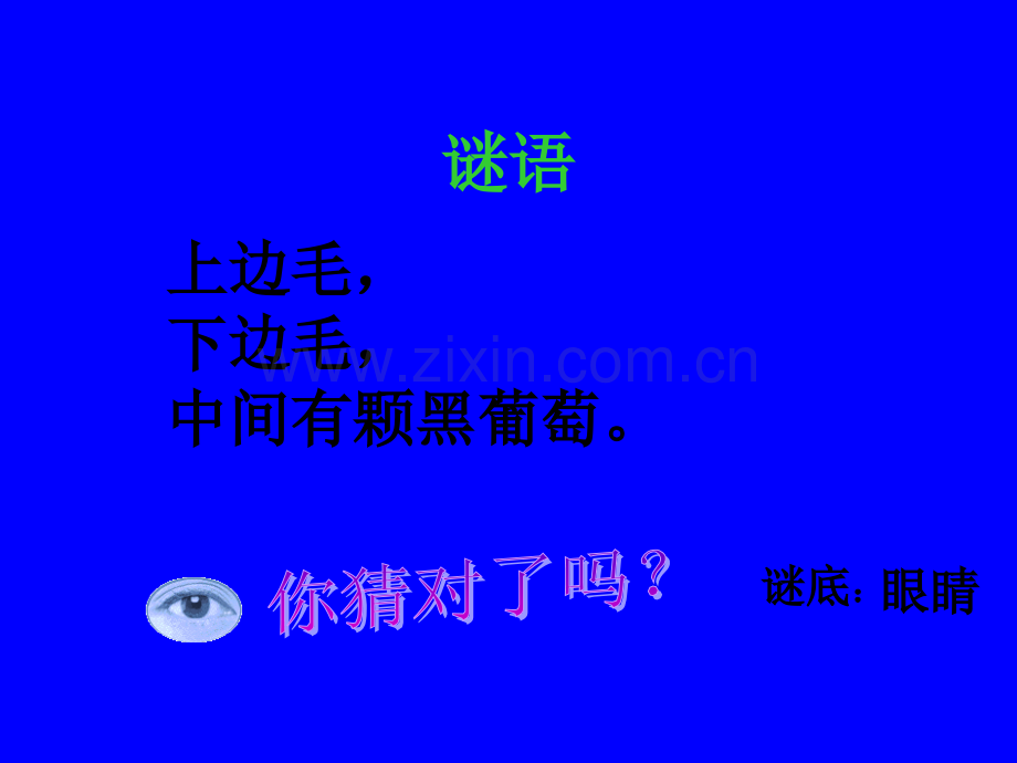 《了解眼睛-保护视力》PPT课件.ppt_第2页