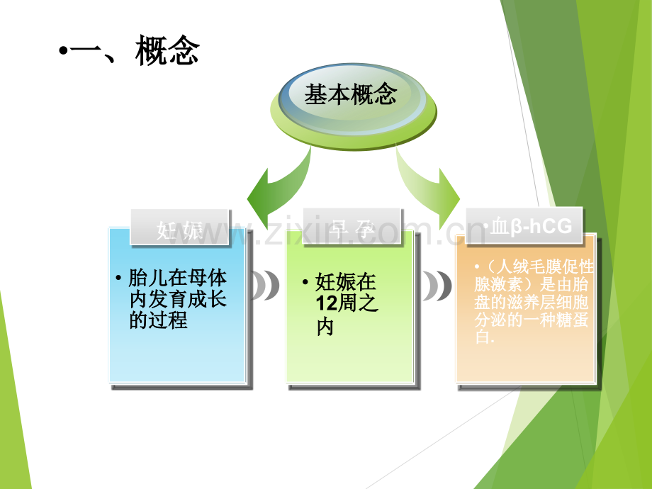 疤痕妊娠.ppt_第3页