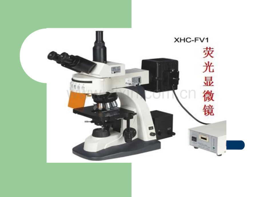 荧光显微镜的基本原理及应用.ppt_第2页