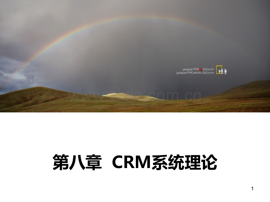 第八章-CRM系统理论PPT课件.ppt_第1页