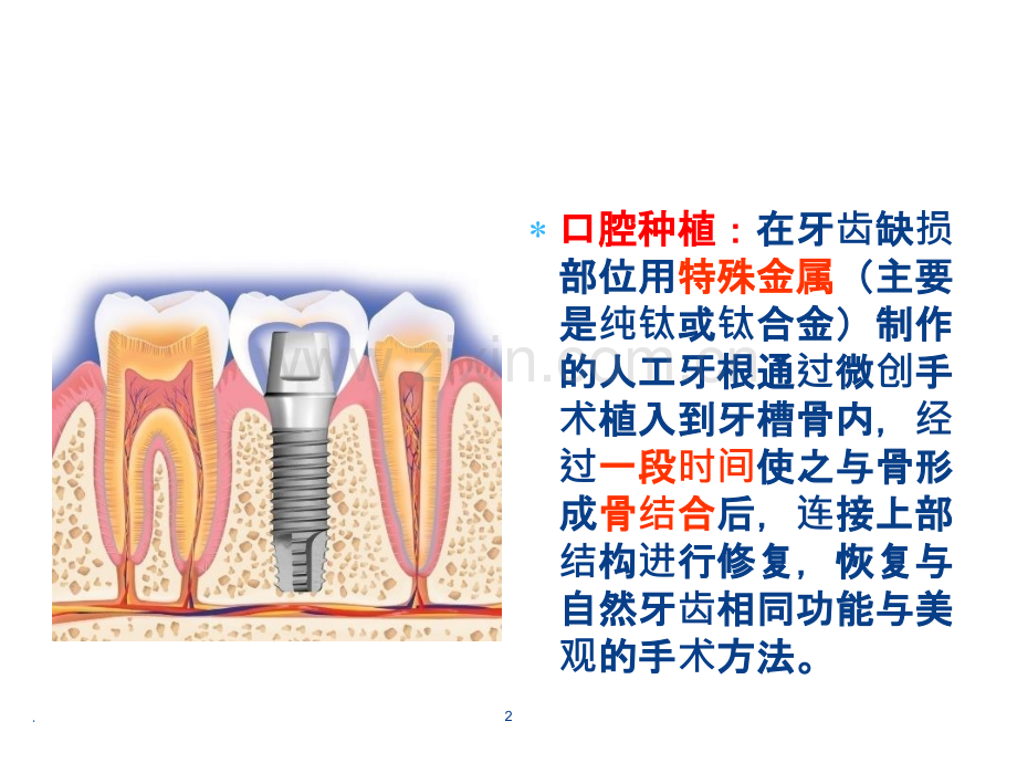 口腔专业知识培训ppt课件.pptx_第2页