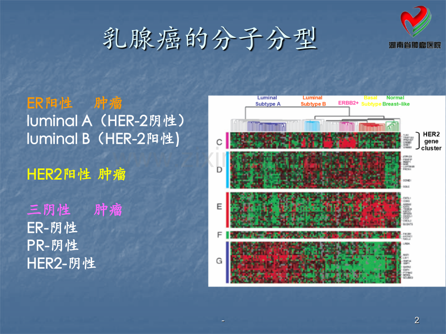 Her阳性乳腺癌辅助治疗PPT课件.ppt_第2页