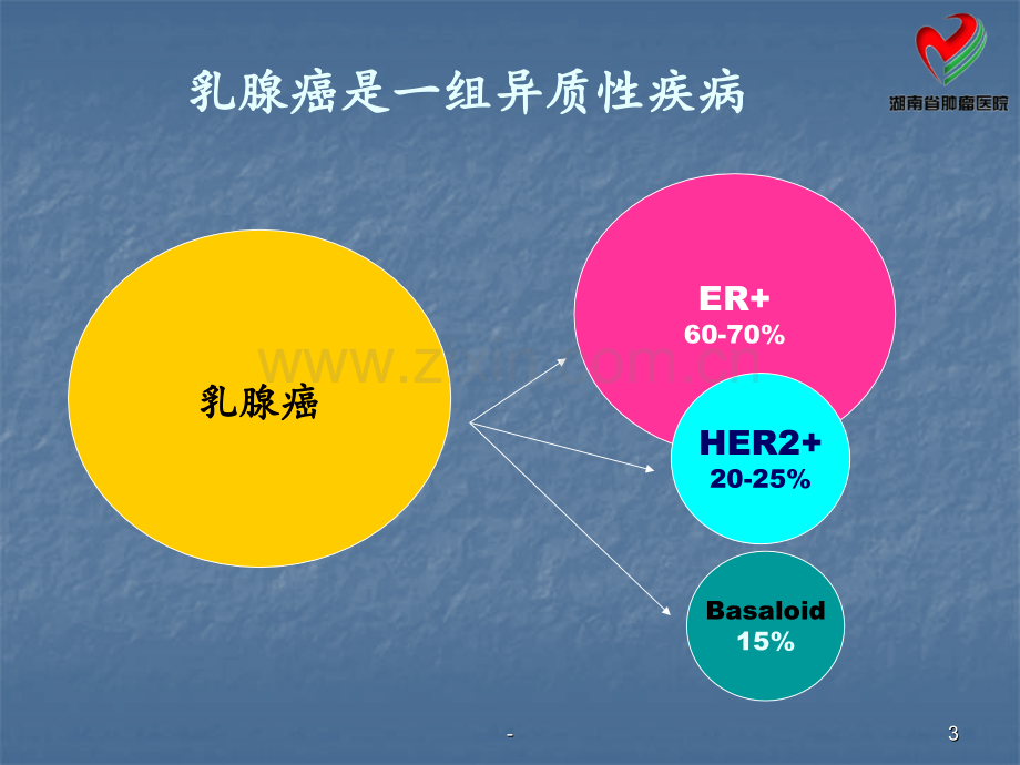 Her阳性乳腺癌辅助治疗PPT课件.ppt_第3页