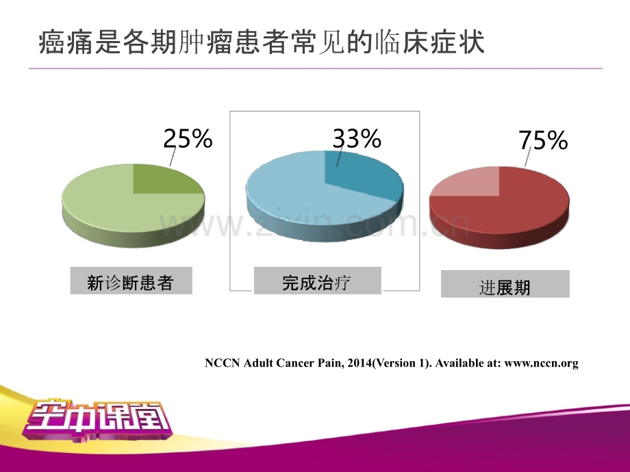 难治性癌痛的辅助药物治疗ppt课件.pptx_第2页