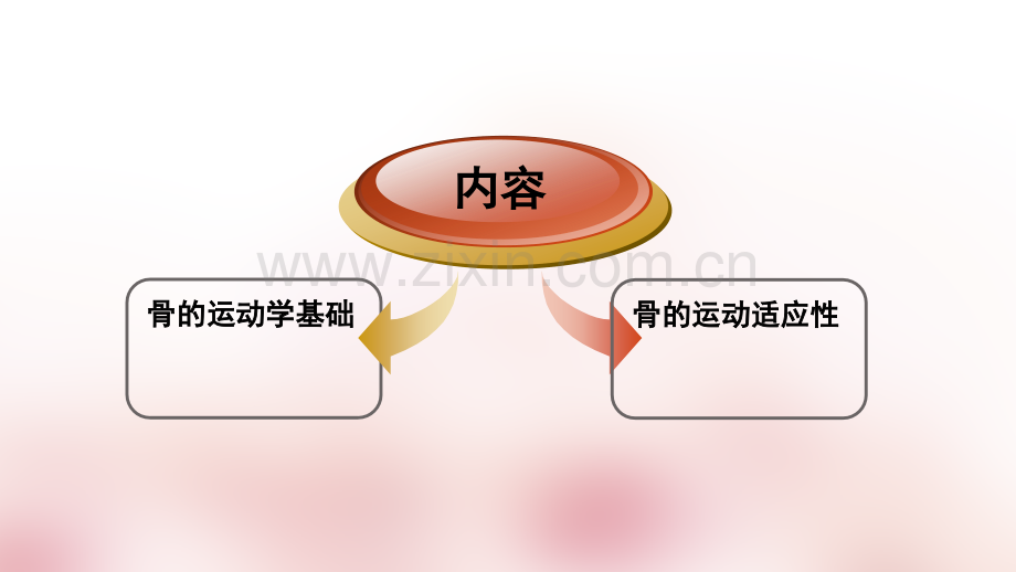 第二章-第一节-骨运动学ppt课件.ppt_第2页