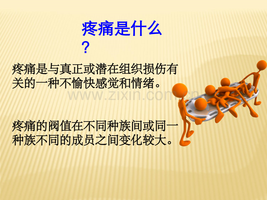 癌痛与治疗.ppt_第2页