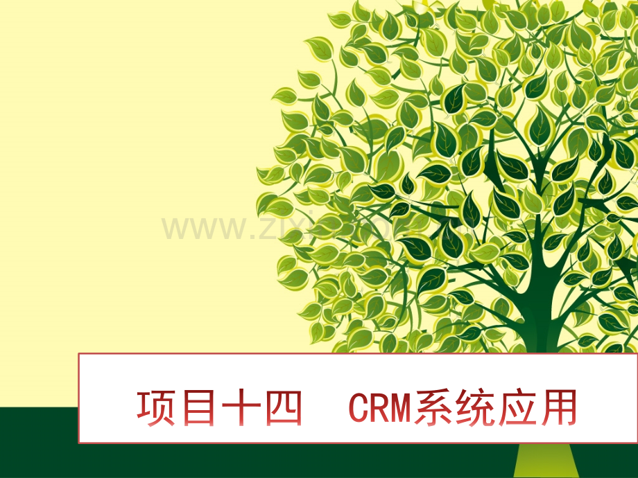 CRM系统应用.ppt_第1页