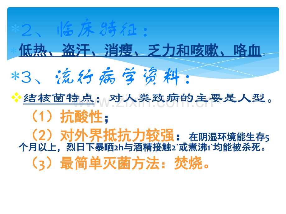 肺结核教学课件.ppt_第3页