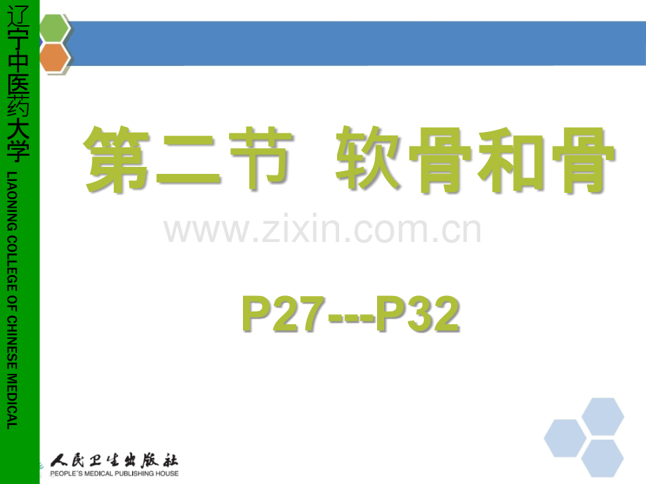 D软骨和骨ppt课件.ppt_第1页