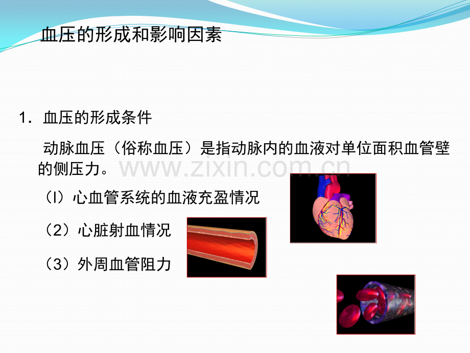 高血压的发病机制ppt课件.pptx_第3页