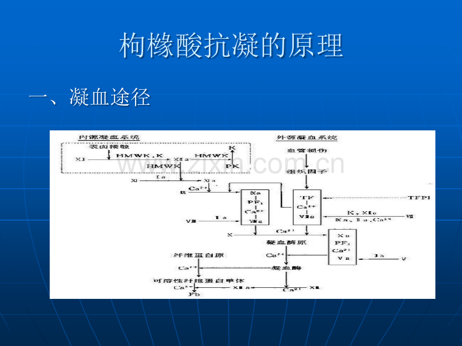 CRRT的枸橼酸抗凝.ppt_第2页