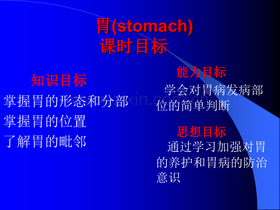 【医学PPT课件】胃的解剖与功能.ppt_第3页