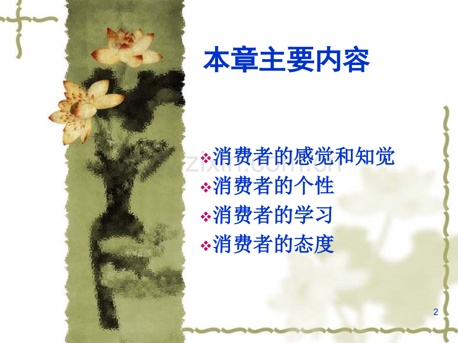 影响消费者行为的因素PPT课件.ppt_第2页