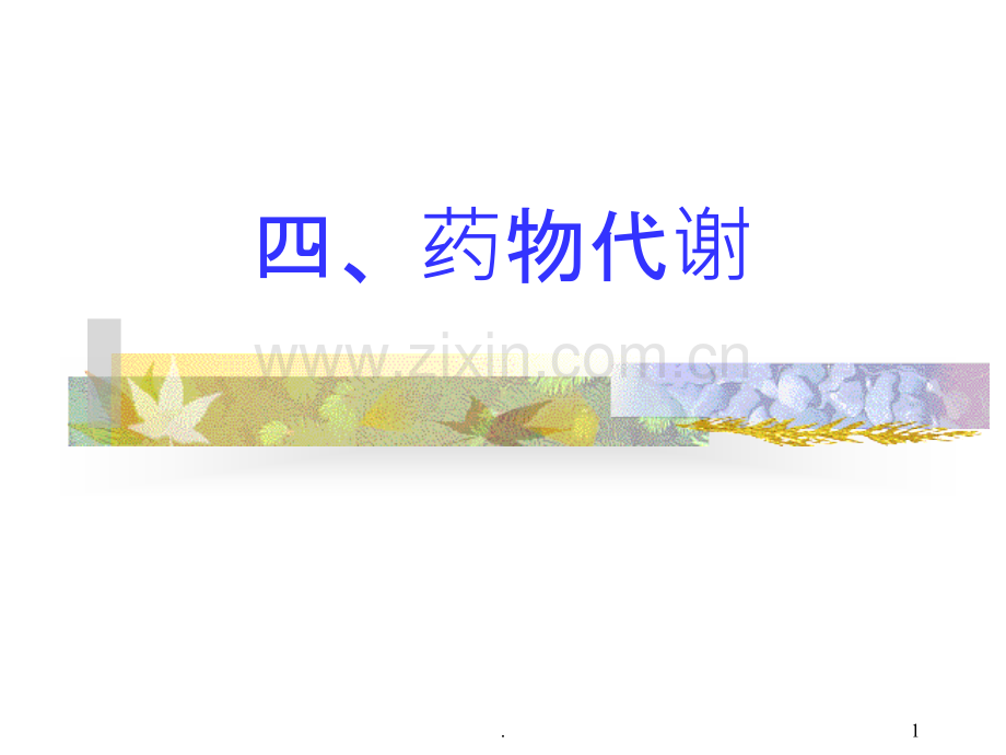 药物代谢与排泄PPT课件.ppt_第1页