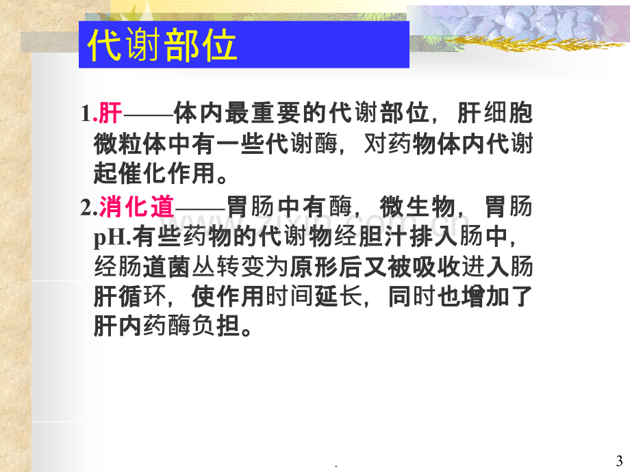 药物代谢与排泄PPT课件.ppt_第3页