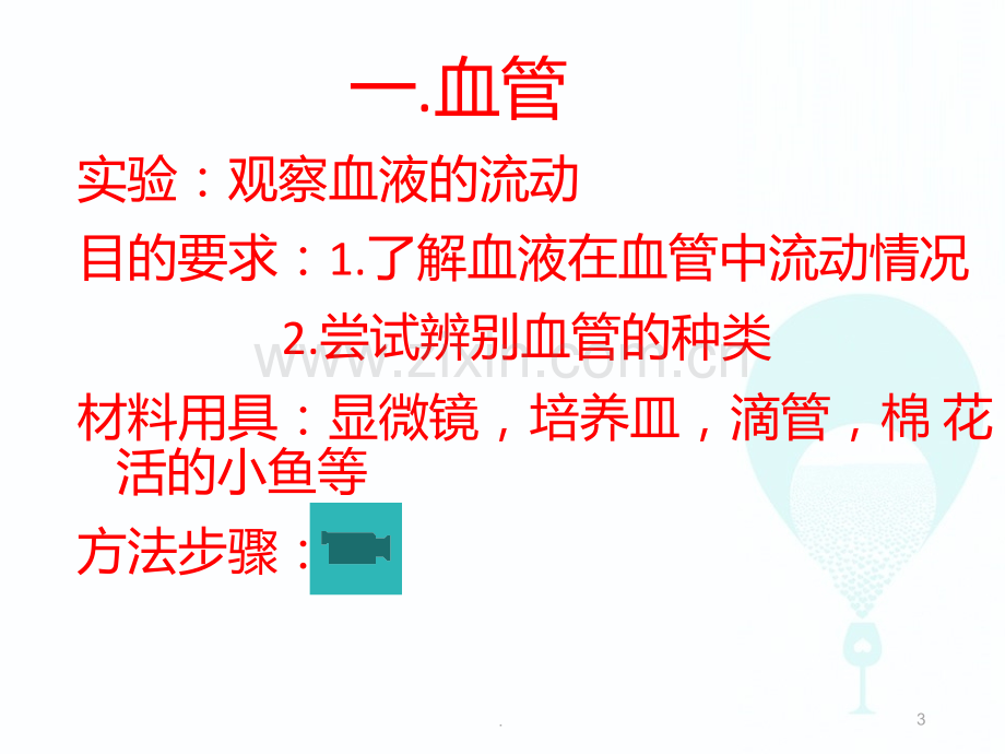 二运输物质的器官PPT课件.ppt_第3页