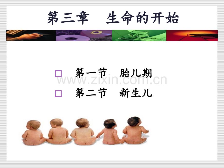 第3章-生命的开始新生儿PPT课件.ppt_第1页