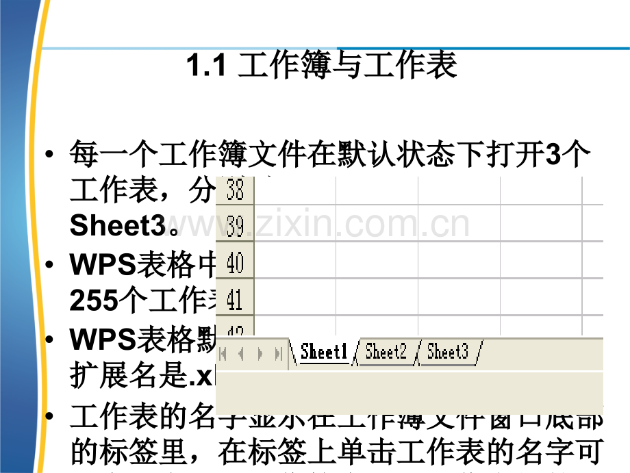 WPS表格基础教程.ppt_第3页