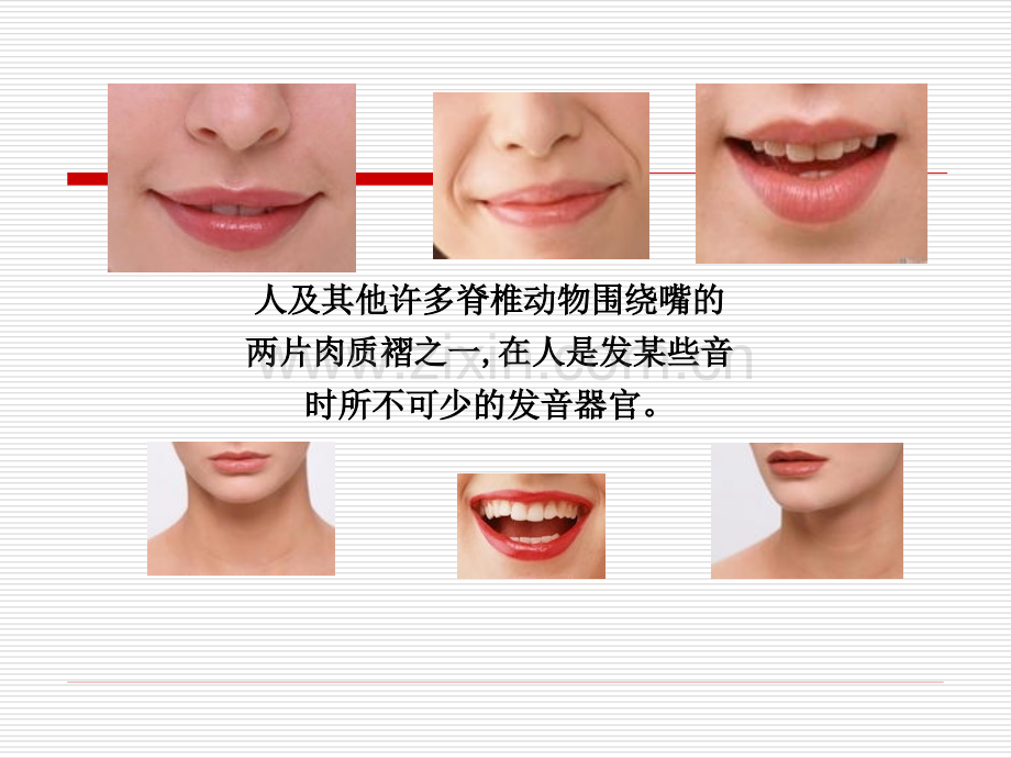 爱上你的唇ppt课件.ppt_第2页