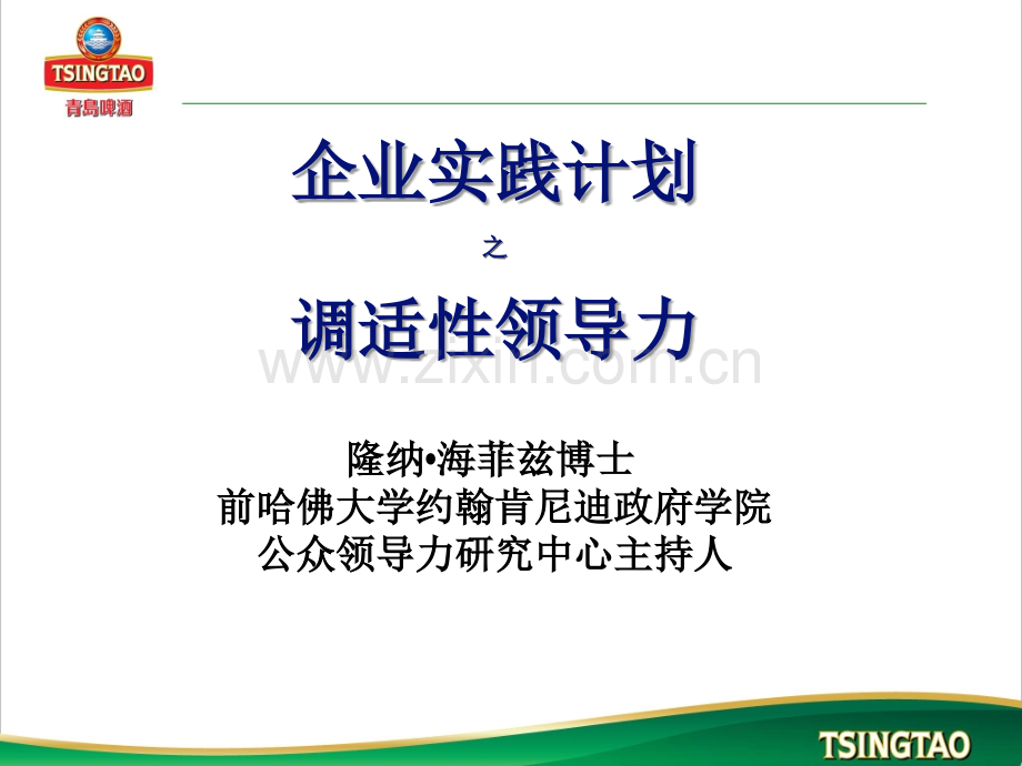 调适性领导力.ppt_第1页