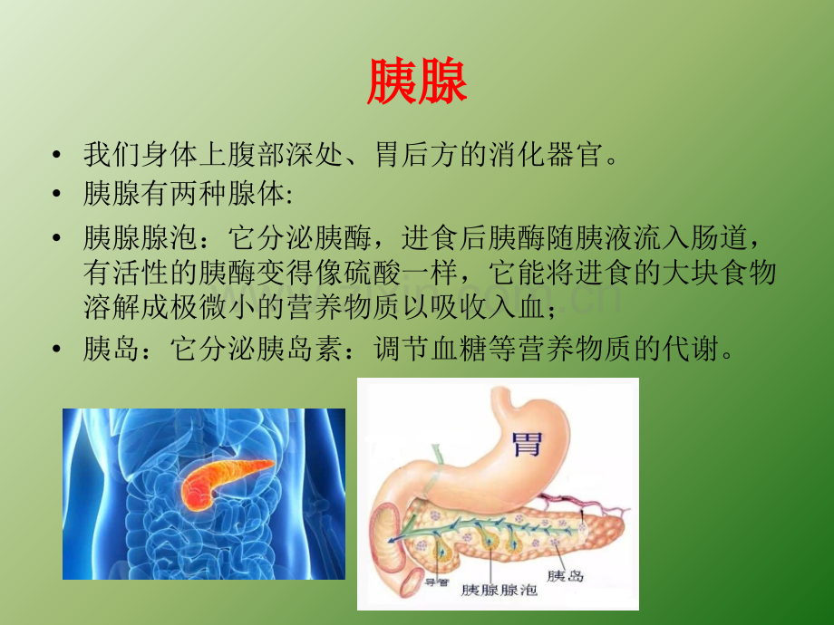 急性胰腺炎健康教育ppt课件.pptx_第3页