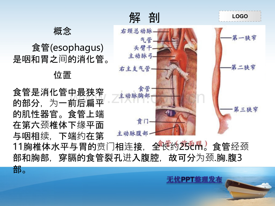 一例食道癌根治术的护理-查房PPT课件.ppt_第3页