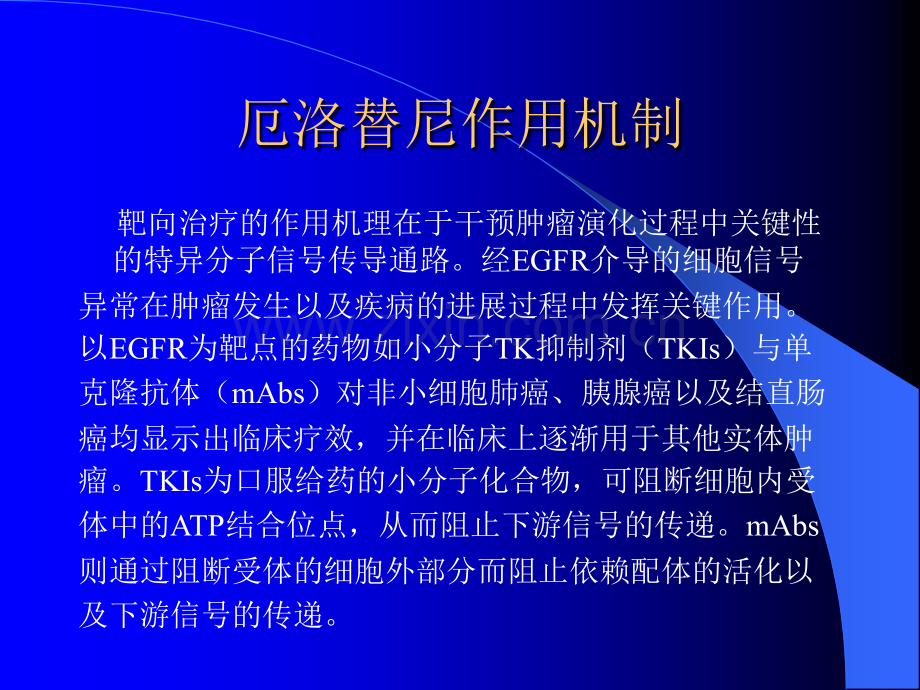 厄洛替尼药疹发生率与疗效关系.ppt_第2页