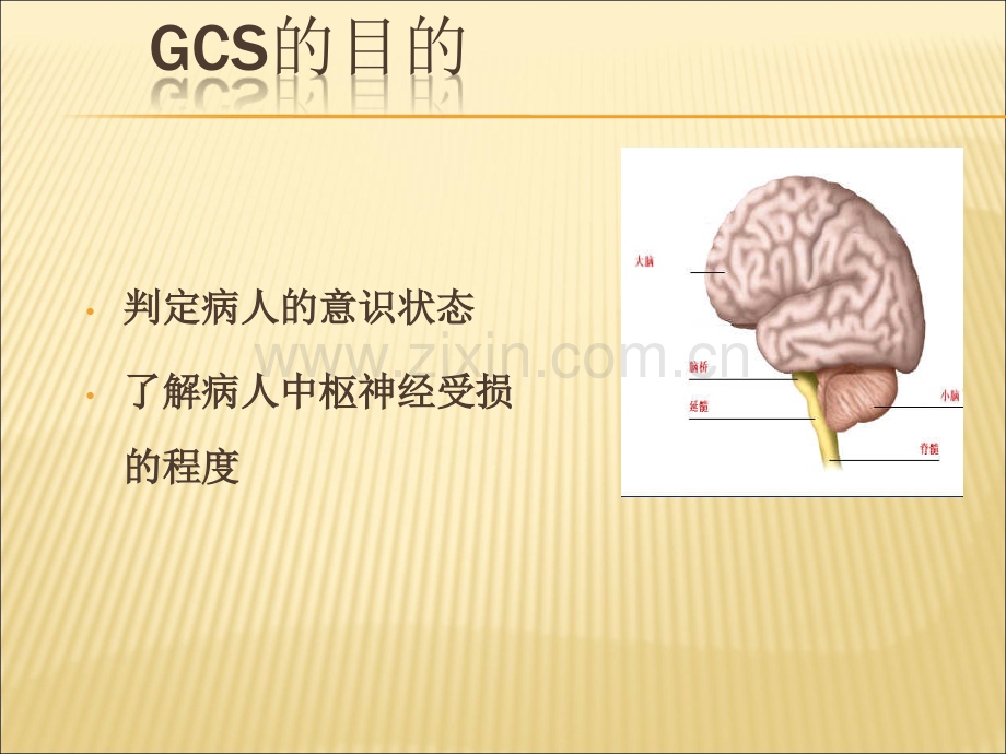 GCS评分实施细则及要点说明ppt课件.ppt_第3页