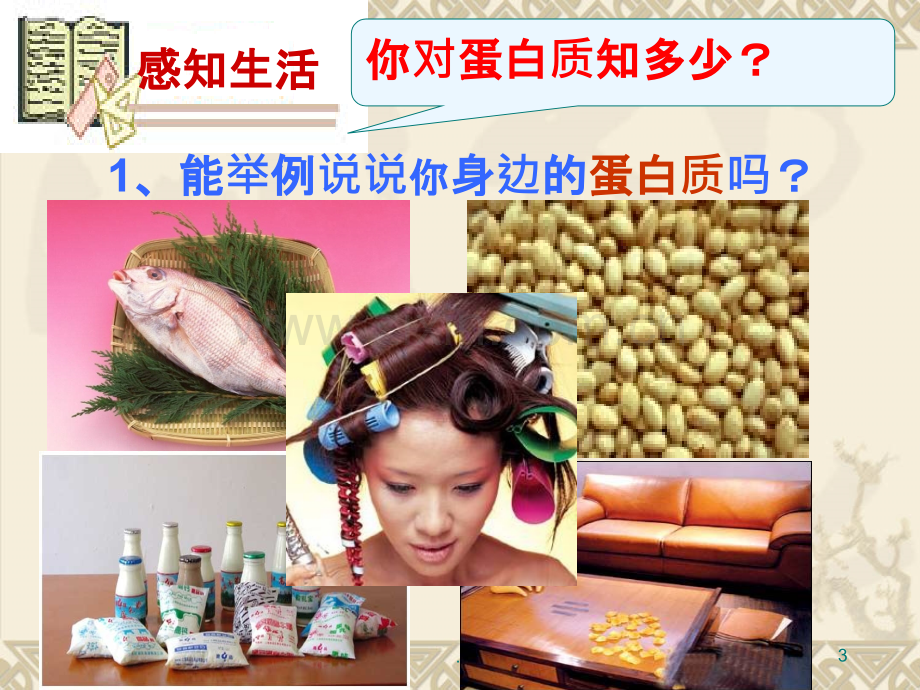 第五章食品中的蛋白质PPT课件.ppt_第3页